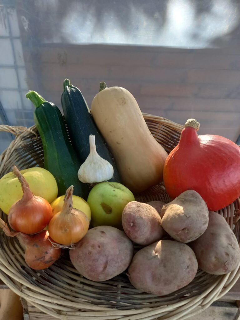 20250923 101408 768x1024