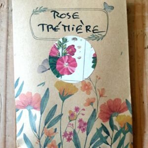 Graines Paysannes Rose Trémière