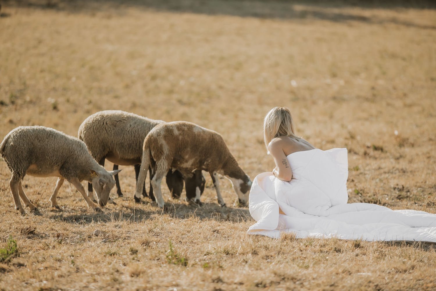 couette en laine de mouton