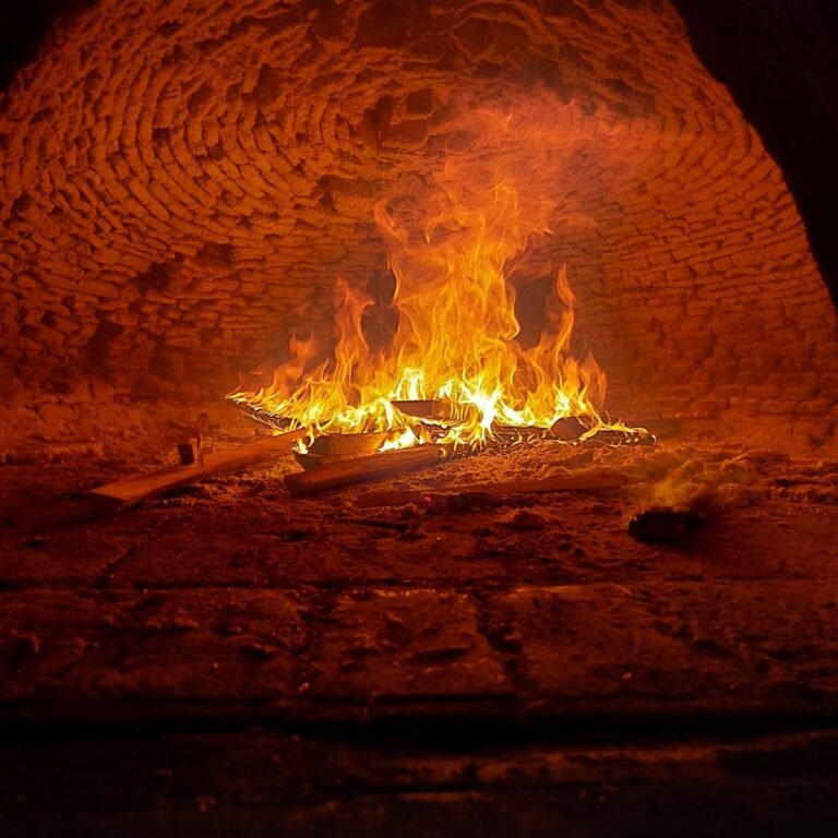 IMG 20230218 093937 566 768x768