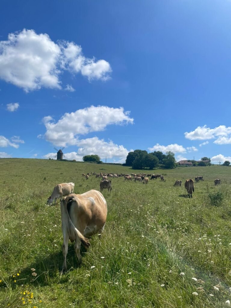 WhatsApp Image 2025 09 25 a 12.30.31 af7231ea 768x1024