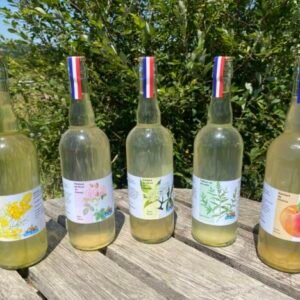 Boissons petillantes