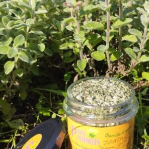 Abraca'ZAATAR 🪄 (30g)