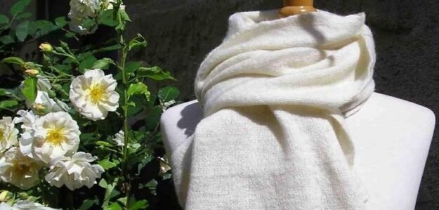 Cachemire de Touraine