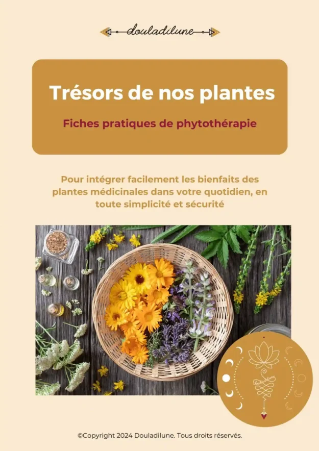 TRÉSORS DE NOS PLANTES – FICHES PRATIQUES DE PHYTOTHÉRAPIE