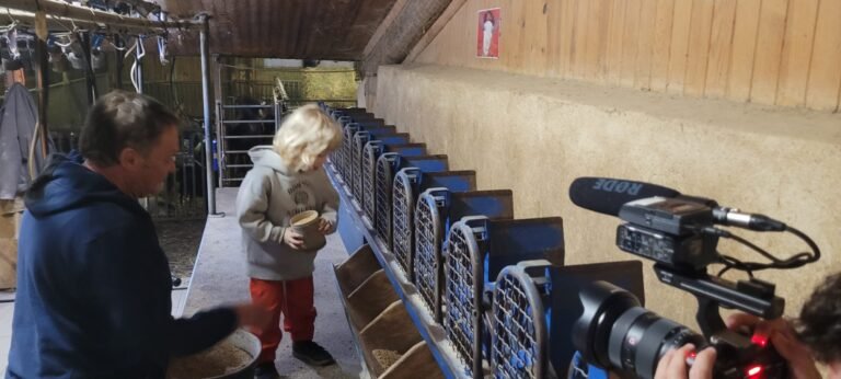 inbound995325269974103369 768x346