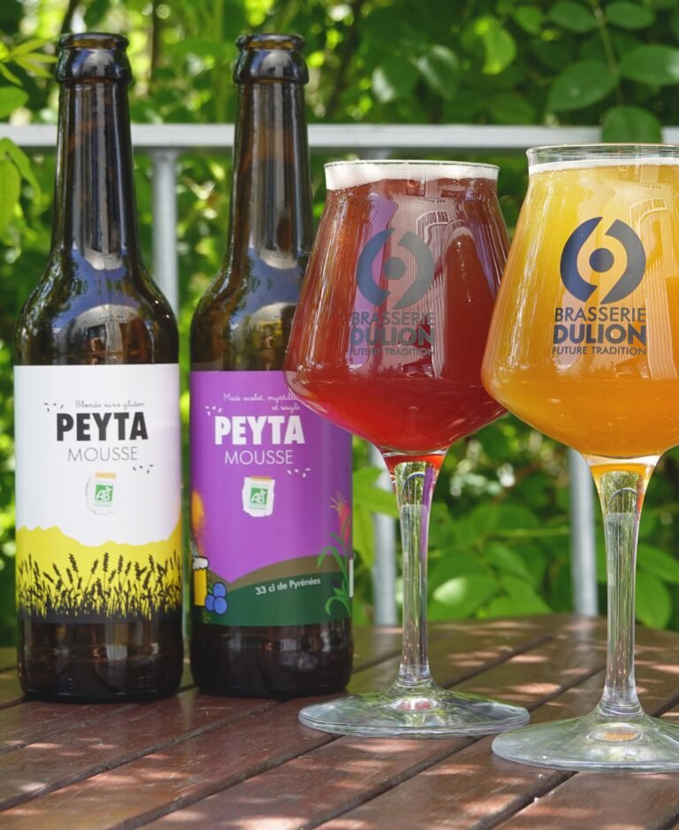 DSC03865 rogne 768x938