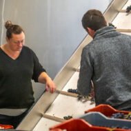 Elsa Tardieu Ferrand