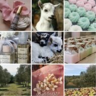 Atelier Santoline & Les Minis de Sand'